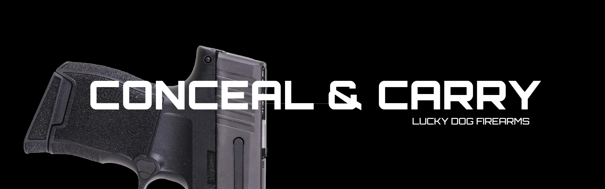 Conceal and carry guns