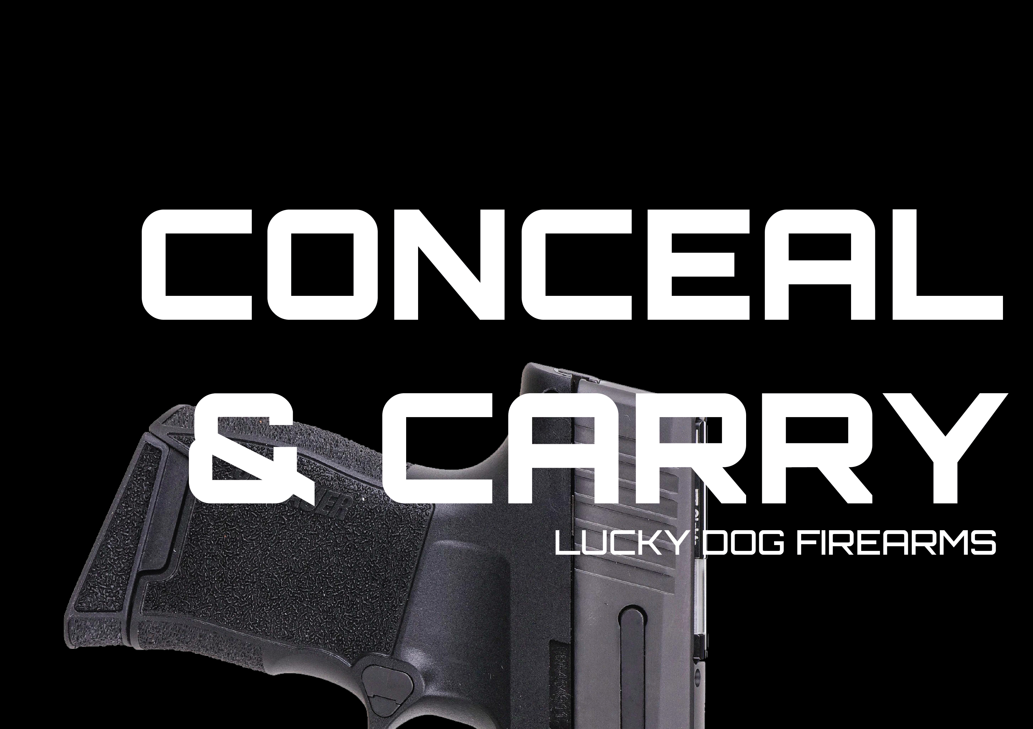 Conceal and carry guns at Lucky Dog Firearms