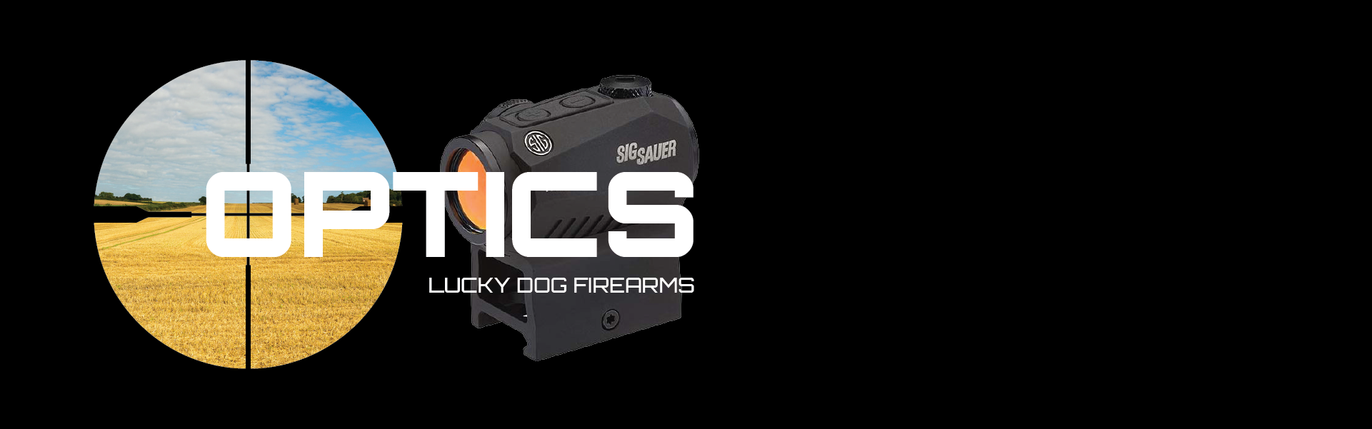 Sig Sauer Optics for guns